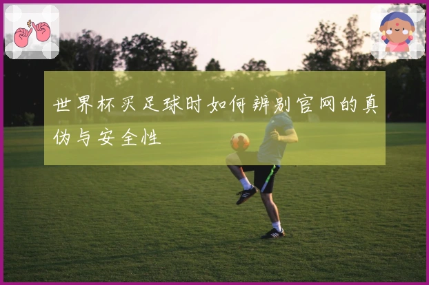世界杯买足球时如何辨别官网的真伪与安全性