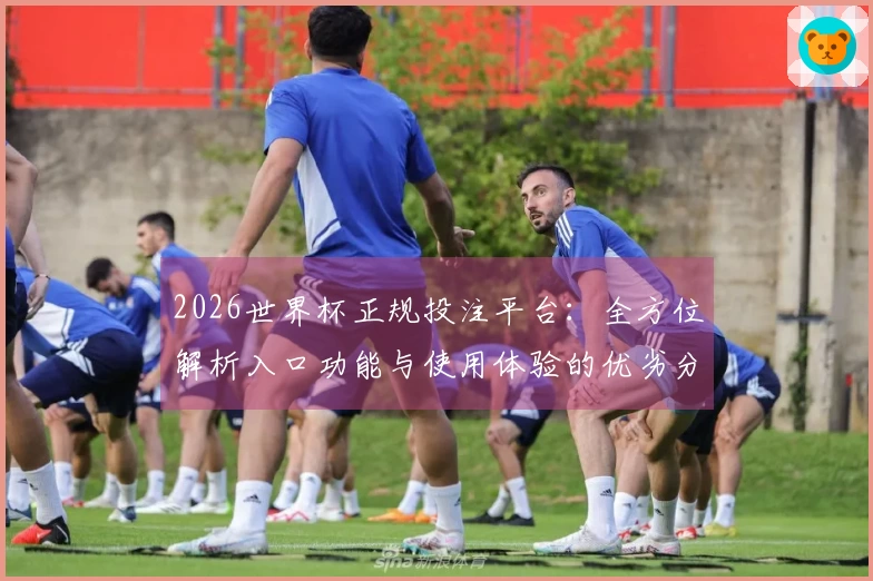 2026世界杯正规投注平台：全方位解析入口功能与使用体验的优劣分析