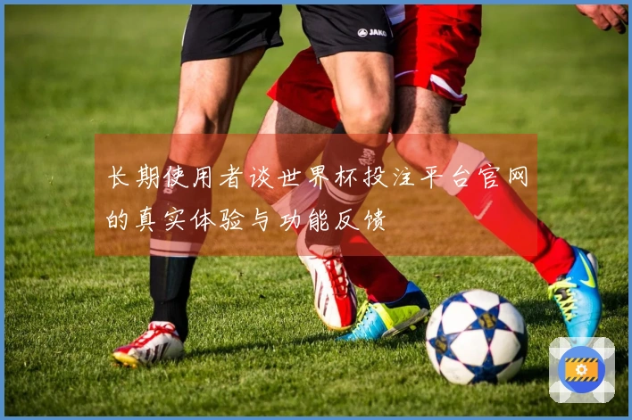 长期使用者谈世界杯投注平台官网的真实体验与功能反馈
