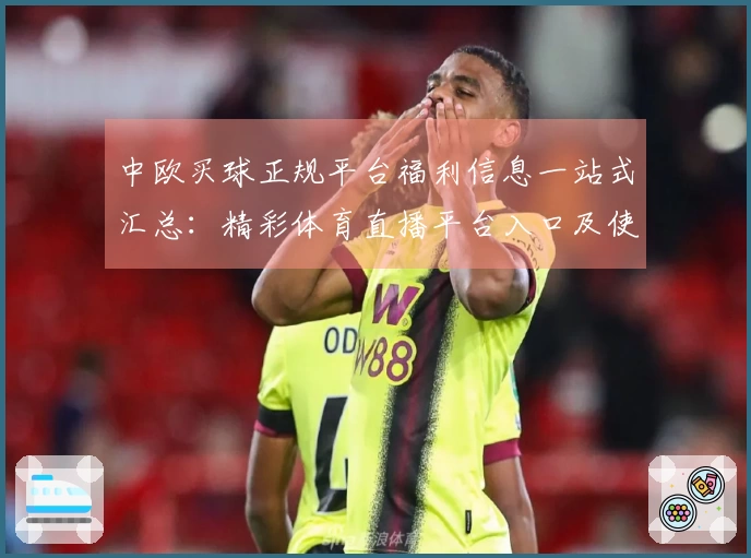 中欧买球正规平台福利信息一站式汇总：精彩体育直播平台入口及使用指南
