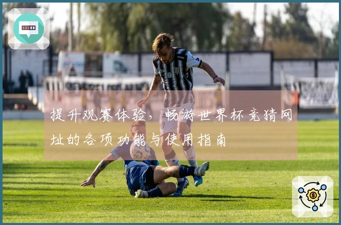 提升观赛体验，畅游世界杯竞猜网址的各项功能与使用指南