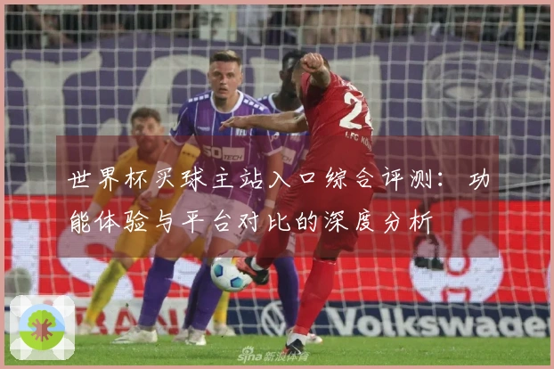 世界杯买球主站入口综合评测：功能体验与平台对比的深度分析