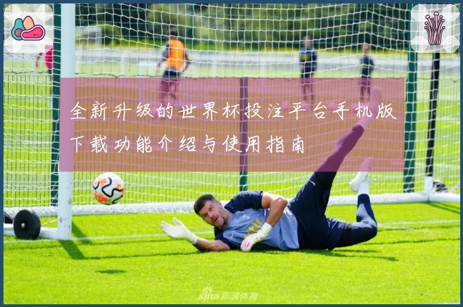 全新升级的世界杯投注平台手机版下载功能介绍与使用指南