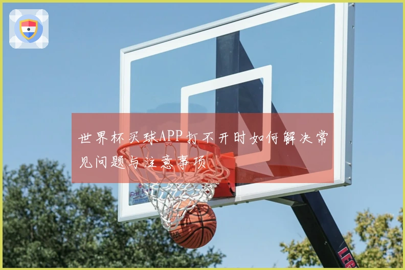 世界杯买球APP打不开时如何解决常见问题与注意事项