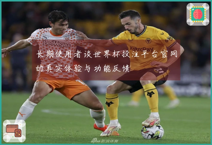 长期使用者谈世界杯投注平台官网的真实体验与功能反馈