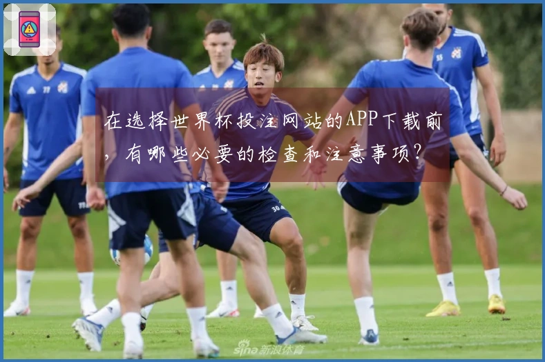 在选择世界杯投注网站的APP下载前，有哪些必要的检查和注意事项？