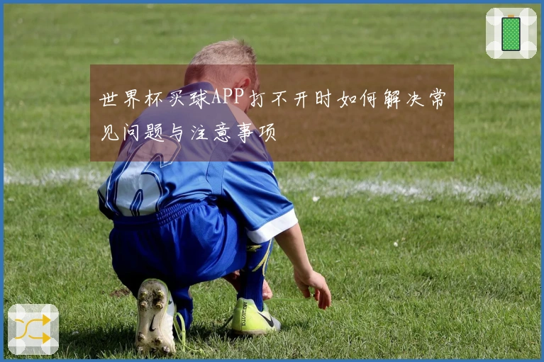世界杯买球APP打不开时如何解决常见问题与注意事项