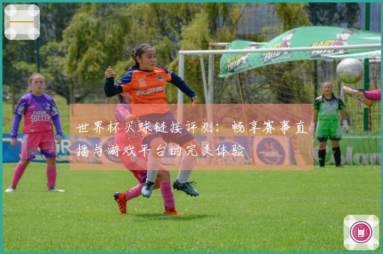 世界杯买球链接评测：畅享赛事直播与游戏平台的完美体验