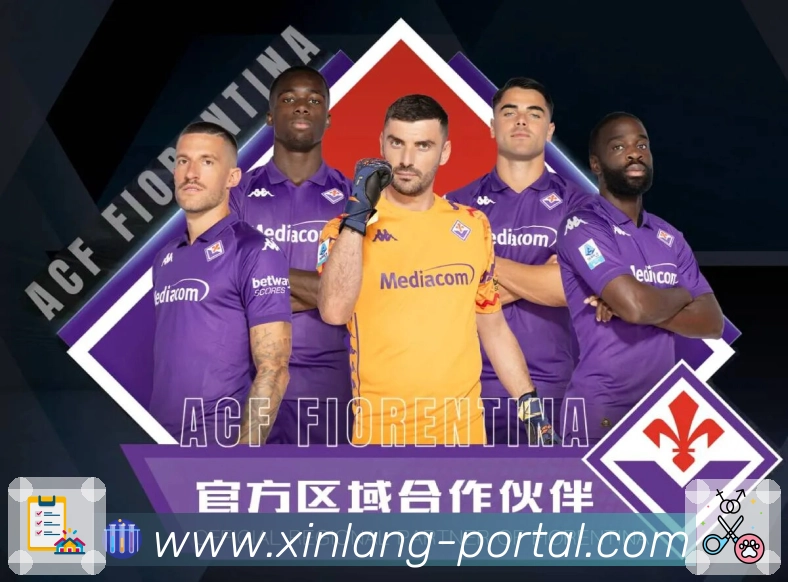 清晰度与策略